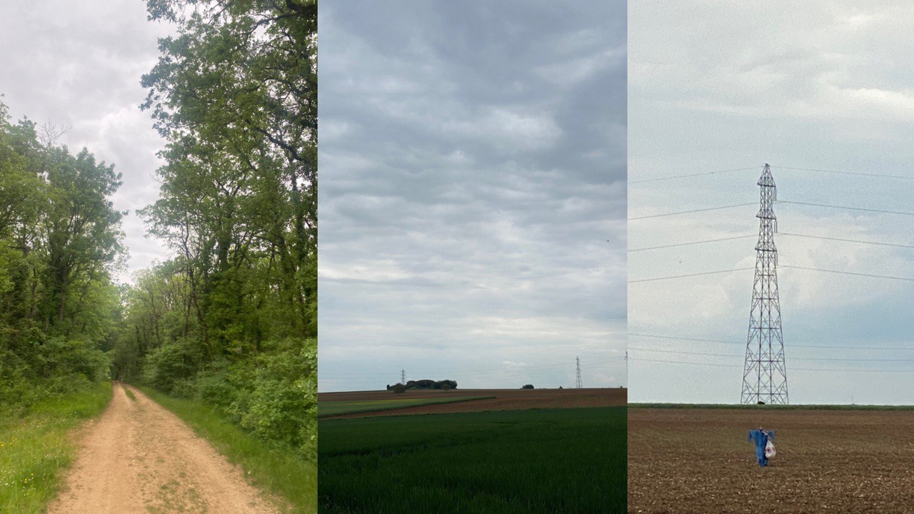 جنگل مذکور و مراتع مختلف در مسیر