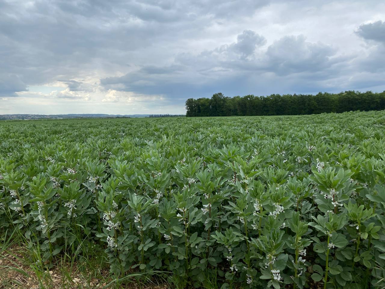 آخرین عکس گوشی قبل از خاموش شدن!