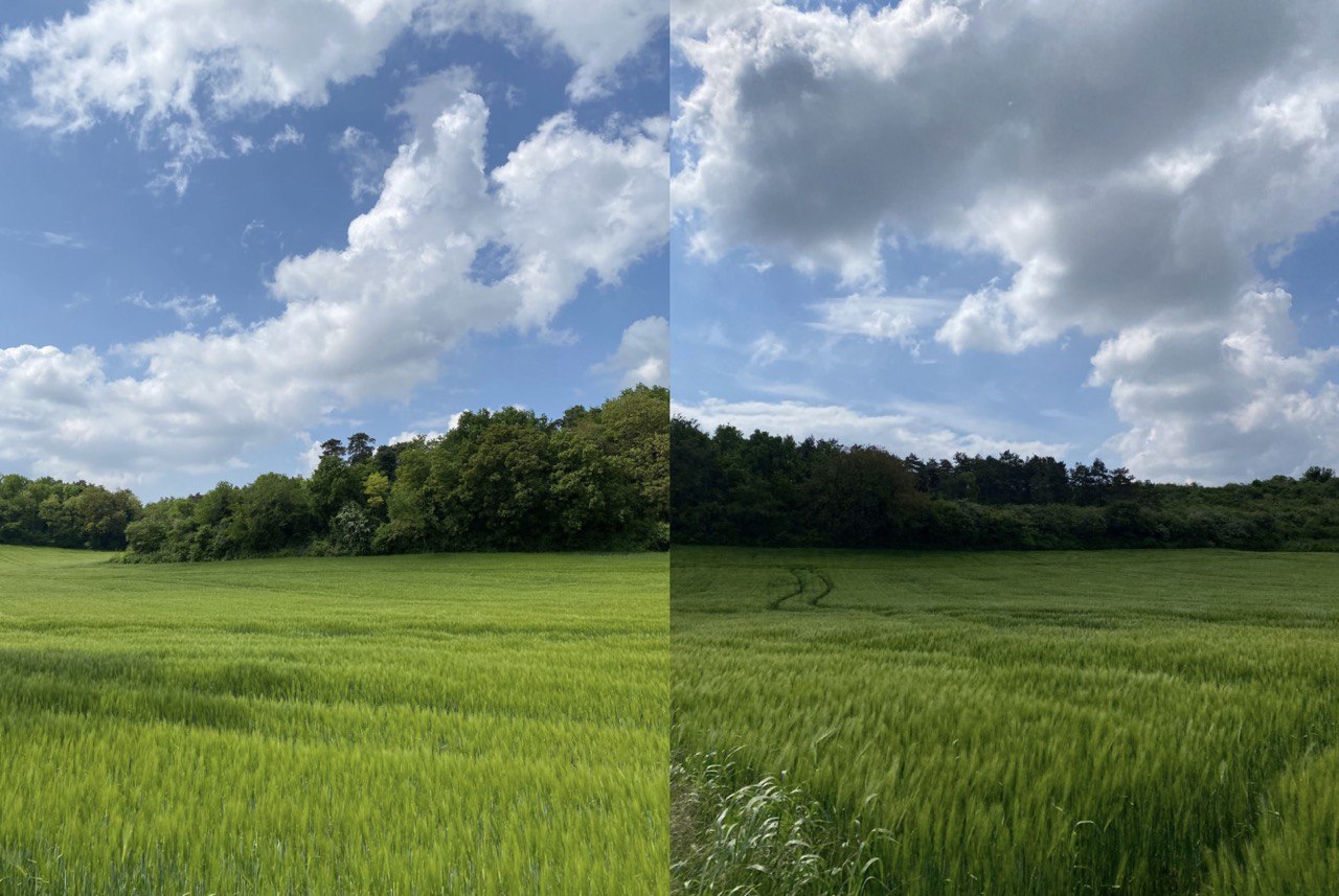 مسیر سرسبز دوندگی روز آخر